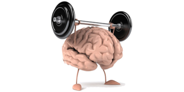 How to Train your Brain to keep you healthy and happy