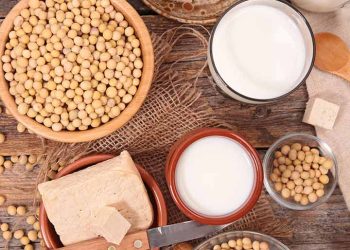 Is soy truly unhealthy for you? Let us dispel a few fallacies regarding soy protein.