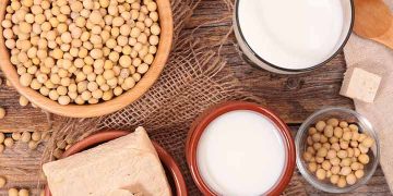 Is soy truly unhealthy for you? Let us dispel a few fallacies regarding soy protein.