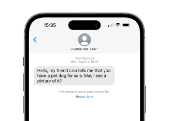 How to Respond to a Text Scammer and Report/Avoid Spam